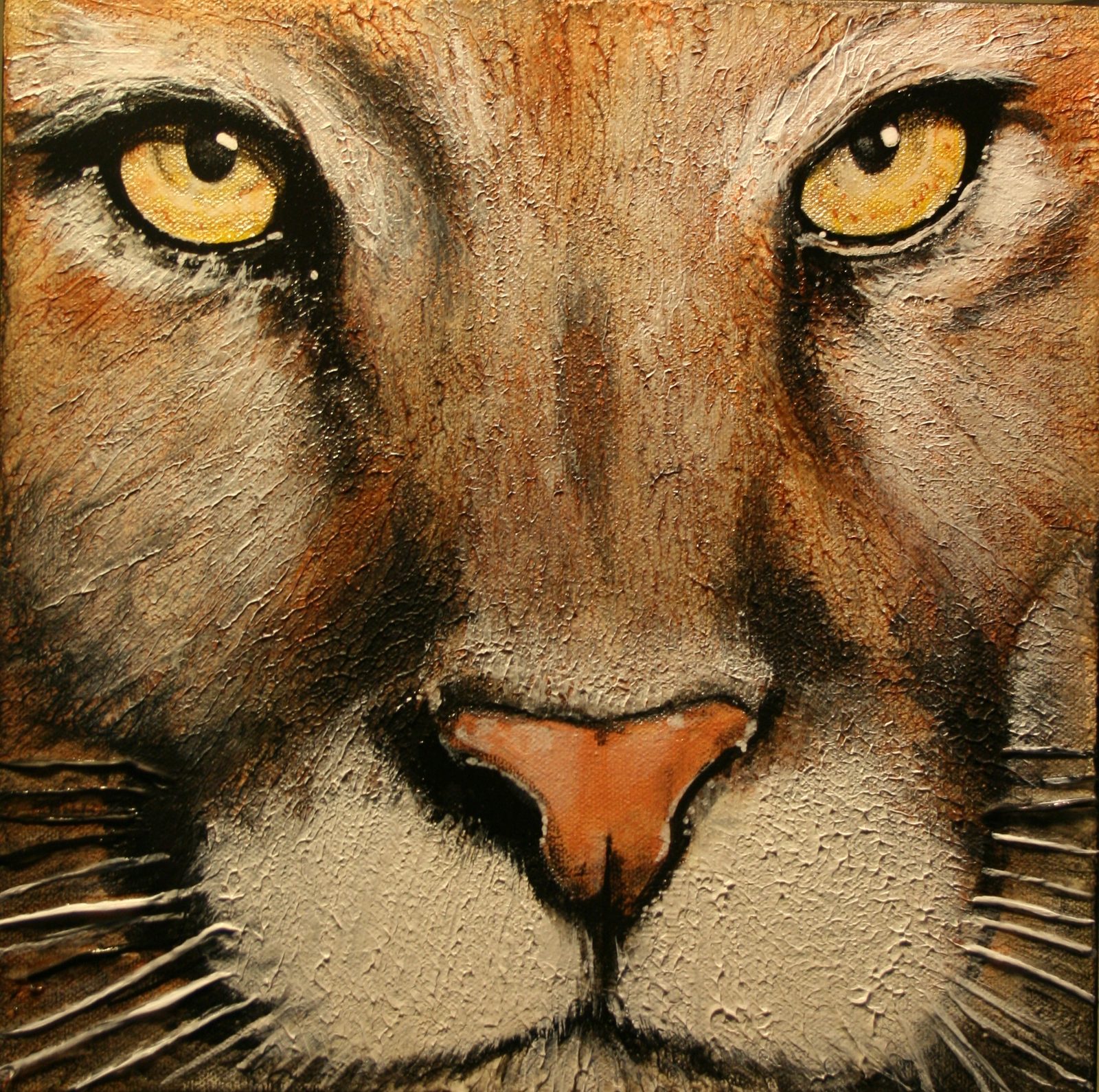 Cougar